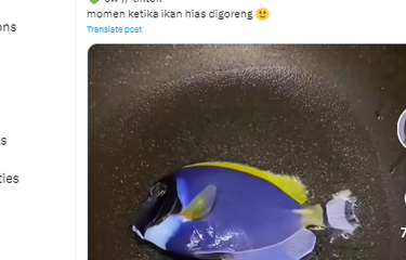 Tangkapan layar unggahan soal makan ikan hias