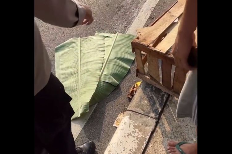 Heboh Dikira Jasad Bayi di Flyover Depok, Ternyata Bangkai Kucing