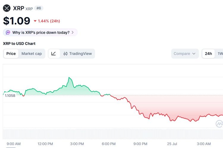 Harga XRP Hari Ini 25 Juli 2026 Turun Efek Anjloknya Pasar Kripto