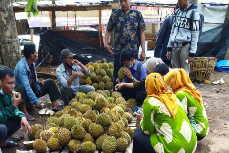 Penjual durian Luna Maya di Darupono, Kendal. Salah satu penjual bisa menghabiskan 3.500 buah dalam 1 truk dalam dua hari. 