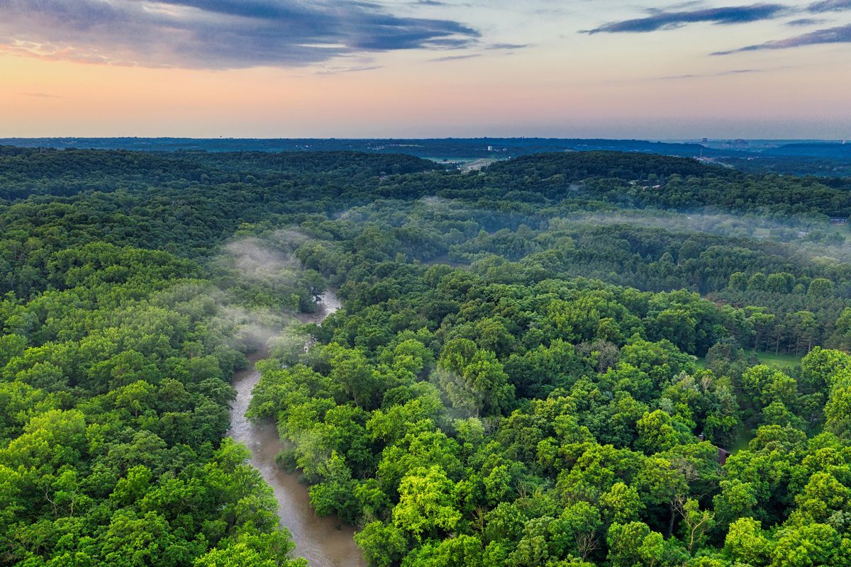 Ilustrasi hutan amazon. Hutan Amazon di Brasil mendadak menjadi sasaran aksi serbuan rating bintang 1 oleh netizen Indonesia di Google Maps.