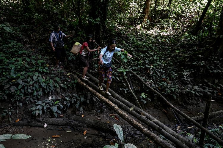 Ngakukop (kanan), Manik (kiri) dan Siti (tengah) menyeberangi jembatan kayu di tengah hutan saat berburu.