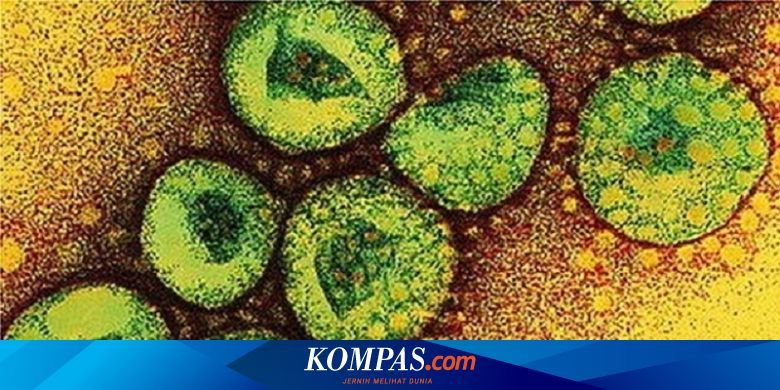 Virus Misterius Baru Merebak Di China Diperkirakan Infeksi 1 700 Orang Halaman All Kompas Com