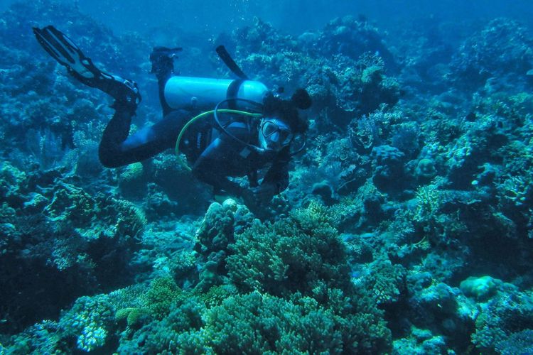 Menyelam di Pulau Togean.
