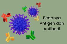 Bedanya Antigen dan Antibodi