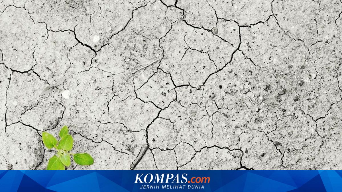 BMKG Peringatkan El Nino Kuat, Ini Daftar Wilayah Bali yang Masuk Siaga Kekeringan