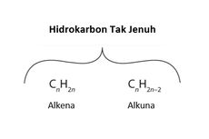 Hidrokarbon Tak jenuh: Pengertian dan Contohnya