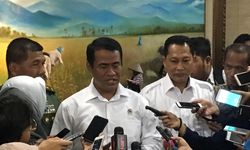 Pemerintah Dorong Penyerapan Gabah Petani 