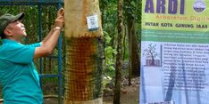 Hutan Kota di Trenggalek Mulai Dipasang QR Code Berisi Informasi Jenis-jenis Tanaman