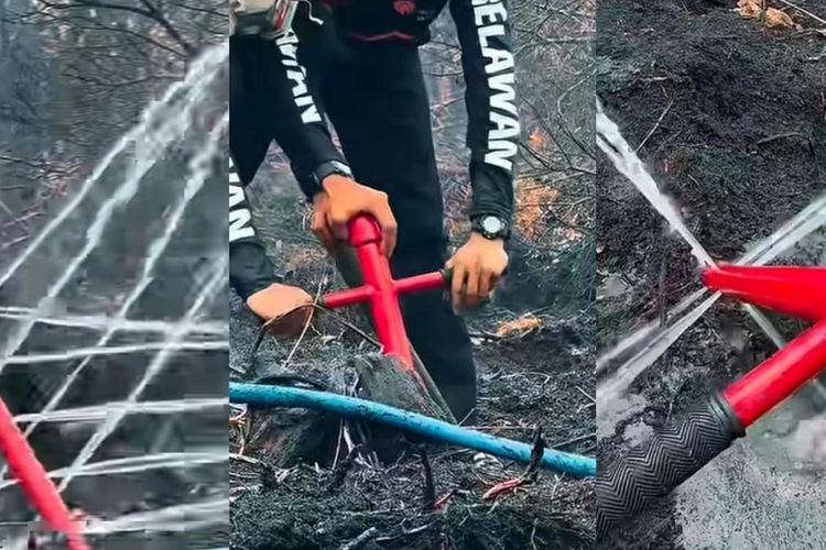 Bertaruh Nyawa Padamkan Karhutla: Cerita Relawan Taklukkan Api di Lahan Gambut