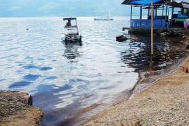 Air Danau Singkarak menghitam seperti terlihat di Dusun Tanjung Mutiara, Desa Batu Taba, Kecamatan Batipuh Selatan, Kabupaten Tanah Datar, Sumatera Barat, Rabu (14/12). Peristiwa yang melanda hampir seluruh kawasan Danau Singkarak sejak tiga hari terakhir tersebut diduga terjadi akibat arus konveksi, yakni naik dan turunnya arus danau yang turut serta membawa kotoran yang mengendap di dasar danau. Akibatnya, ikan endemik Danau Singkarak seperti bilih banyak yang keluar ke permukaan dan mati. 