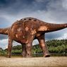Berukuran Sangat Besar, Proses Evakuasi Fosil Titanosaurus Merusak Jalan Raya