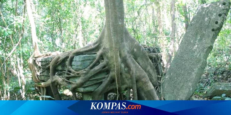 Mengenal Reti Iyang, Kuburan Batu Megalitikum dengan Relief Ikan di Sumba Timur dan Kisah Umbu Mehanguru Mehataku - Vimarsana News