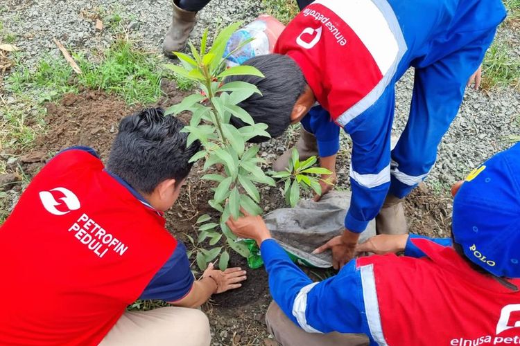 Elnusa Petrofin menanam 1.062 pohon trembesi di 82 unit operasi di seluruh Indonesia untuk mencapai target Net Zero Emission 2060.