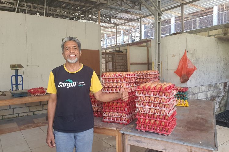 Curhat Peternak Ayam Petelur di Gunungkidul, Harga Terus Anjlok hingga Ayam Produktif Terpaksa Dijual