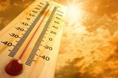 Suhu Panas di Belanda, Belgia, dan Jerman Lewati 40 Derajat Celsius