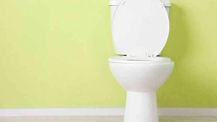 Toilet Duduk vs. Toilet Jongkok: Perbandingan, Kelebihan, dan Kekurangan
