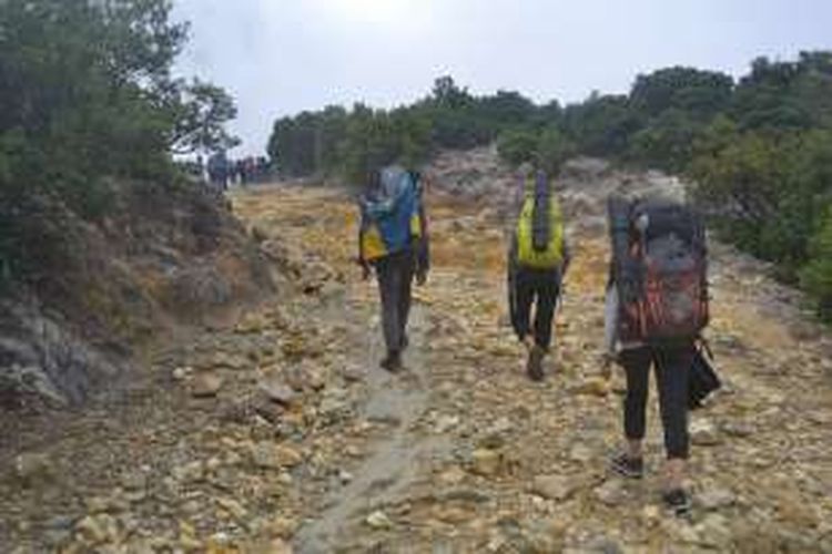 Pendaki tengah melewati medan di awal pendakian Pos Camp David Gunung Papandayan, Garut, Jawa Barat, Minggu (21/2/2016) pagi. Medan yang dilalui didominasi oleh batuan beku dan belerang.