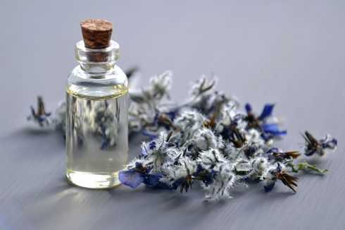 5 Essential Oil yang Bisa Atasi Mual dan Mabuk Saat Mudik