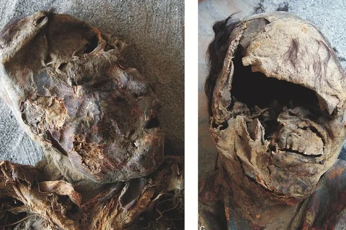 Bukti-bukti kekerasaan yang ditemukan pada kerangka berusia 3000 tahun di gurun Atacama. Tampak luka brutal dialami para petani kuno ini.
