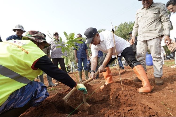 Pemprov Jabar Revitalisasi Kebun Karet Jalupang Subang, 4.200 Pohon Telah Ditanam