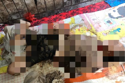 Dirawat di RS, Belatung di Tubuh Nenek Asal Denpasar Ini Telah Dibuang, Begini Kondisinya Sekarang...