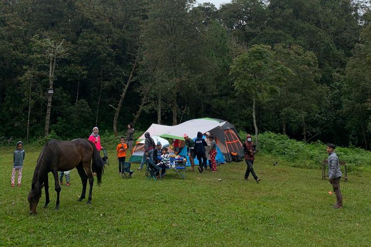 Area camping di Jungle Milk Lembang dengan kuda-kuda yang berkeliaran di sekitarnya