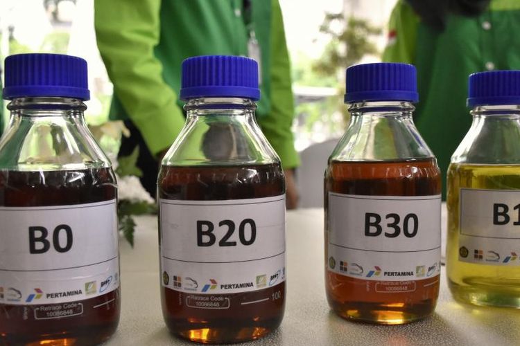 Ilustrasi biodiesel. Biodiesel B50 siap menjadi bagian dari transisi energi hijau Indonesia sambil menyeimbangkan kebutuhan domestik dan ekspor.
