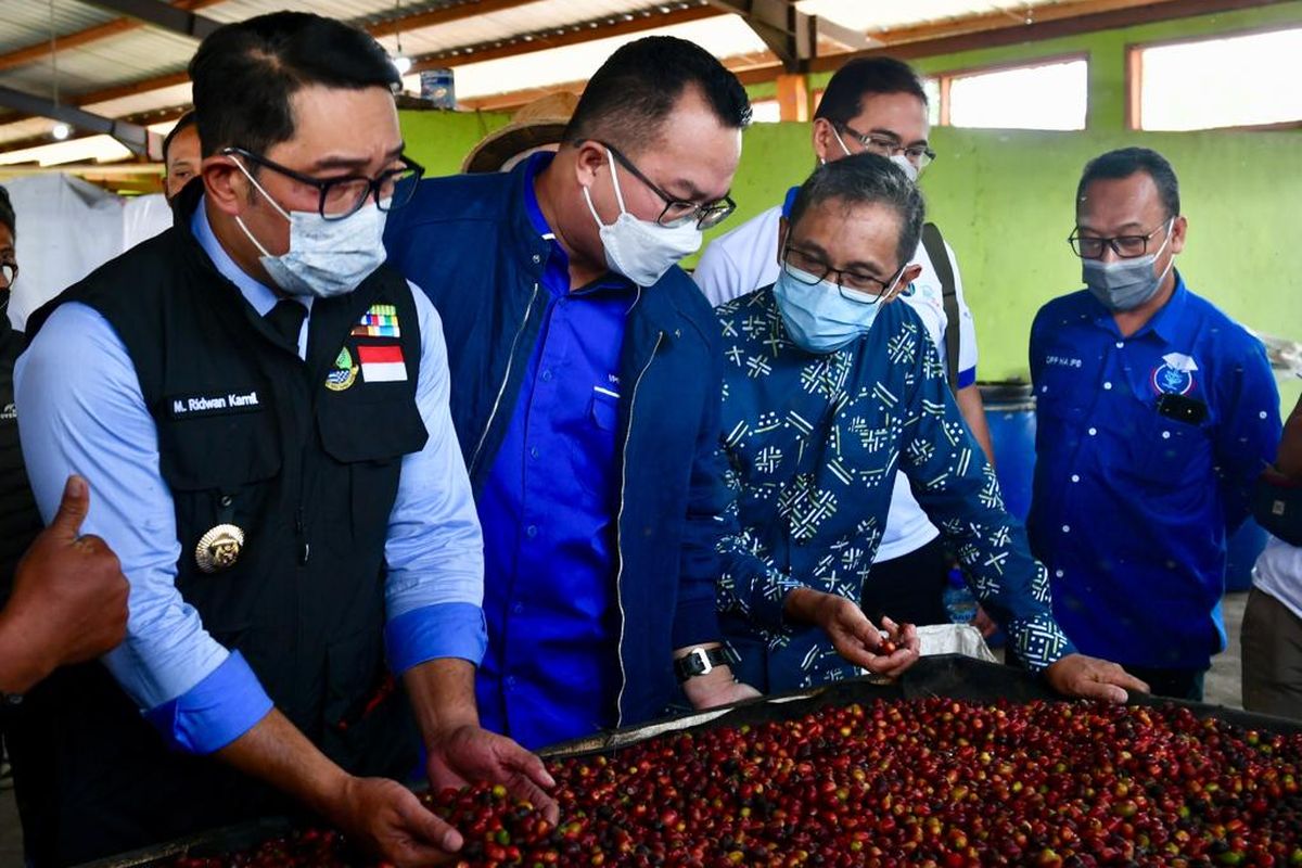 Acara Pelepasan Ekspor Kopi Binaan IPB University dan PT Astra Internasional Tbk di Garut, Jawa Barat, Rabu (2/3/2022). Acara pelepasan ekspor kopi ini juga dihadiri oleh Gubernur Jawa Barat Ridwan Kamil, Rektor IPB Arif Satria, Head of Social Engagement Astra Triyanto. Dalam acara ini juga dilakukan penyerahan secara simbolis bantuan sarana dan prasarana produksi kepada petani milenial Jawa Barat.