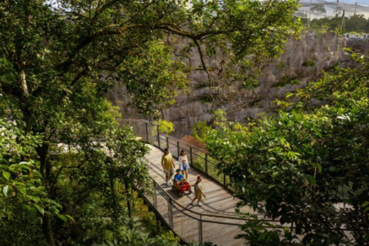 Jalur jelajah hutan di Rainforest Wild Adventure menawarkan pengalaman eksplorasi alam yang interaktif bagi pengunjung.