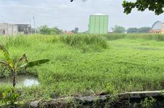 Sejarah Gladiator, Tontonan yang Menguasai Romawi Kuno Selama 6 Abad