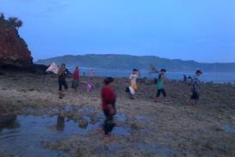Warga Lombok membawa pulang 'nyale' atau cacing laut dalam Festival 'Bau Nyale' di Pantai Seger, Desa Kuta, Kecamatan Pujut, Kabupaten Lombok Tengah, Nusa Tenggara Barat (NTB), Selasa (10/2/2015).