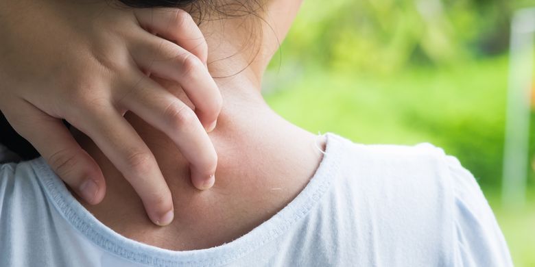 7 Cara Sederhana untuk Mengurangi Penyebab Alergi di Dalam Rumah - Vimarsana News