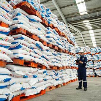 Sebanyak 508.216 ton pupuk telah disiapkan Petrokimia Gresik, guna mendukung kebijakan baru tata kelola penyaluran pupuk bersubsidi.