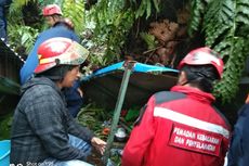 5 Warga Makassar Tertimpa Pohon Tumbang Saat Berada di Warung Bakso