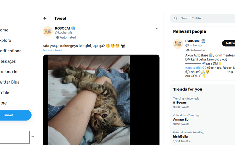 Tangkapan layar foto yang memperlihatkan kucing yang sedang memeluk tangan majikannya yang sedang sakit