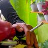 Merokok Sambil Mengendarai Motor Bisa Kena Denda Rp 750.000