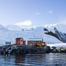 CEK FAKTA: Foto Padang Bunga Greenland Dinarasikan di Antartika