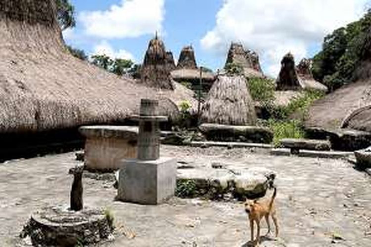 Rumah-rumah tradisional berdiri kokoh di Kampung Waitabar, Kecamatan Waikabubak, Kabupaten Sumba Barat, Nusa Tenggara Timur, Minggu (14/2/2016). Keberadaan kampung adat dengan rumah-rumah tradisionalnya di Sumba menjadi daya tarik bagi wisatawan untuk berkunjung. 