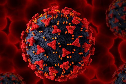 Muncul Subvarian Baru Omicron BN.1, Virus Corona Apa Itu?