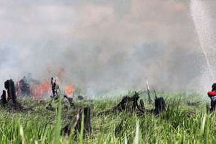 Tim Serbu Api Dinas Kehutanan Provinsi Kalimantan Tengah berusaha memadamkan kebakaran lahan di Jalan Danau Perupuk III, Kelurahan Bukit Tunggal, Kecamatan Jekan Raya, Kota Palangkaraya, Kalimantan Tengah, Senin (10/10). Lahan seluas 2 hektar itu diduga sengaja dibakar untuk dibersihkan karena tampak rumput ilalang yang telah ditebas. Status siaga kebakaran hutan dan lahan Provinsi Kalteng sudah berakhir pada 8 Oktober, tetapi kebakaran masih terjadi.