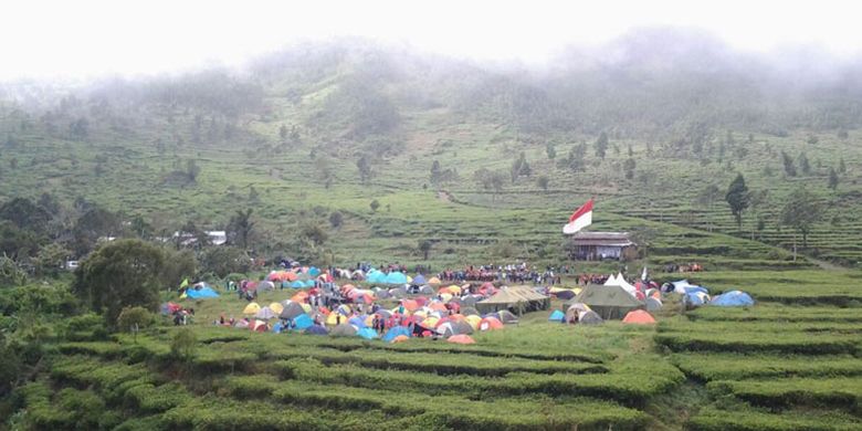 Perkemahan Promasan di kebun teh Medini, Kendal, Jateng, ini setiap hari libur banyak orang yang berkemah. Mereka hampir semuanya anak-anak muda.