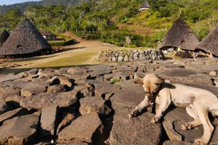 Desa Wae Rebo berada di barat daya kota Ruteng, Kabupaten Manggarai, Nusa Tenggara Timur. 