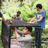 Beruang Madu Terlihat Sedang Makan Durian, BKSDA Pasang Perangkap