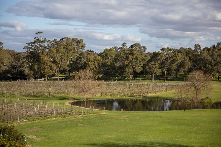 Sandalford Winery di Swan Valley 