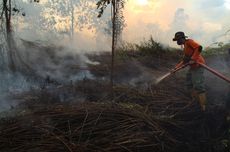 Tingkat Kebakaran Lahan Gambut Menurun, Bisa Tekan Emisi 