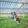 Pengetahuan Jadi Bekal Petani dan Perajin Pangan untuk Lebih Mandiri