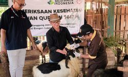 SIG Salurkan 292 Hewan Kurban ke 19 Provinsi, Libatkan UMKM Lokal