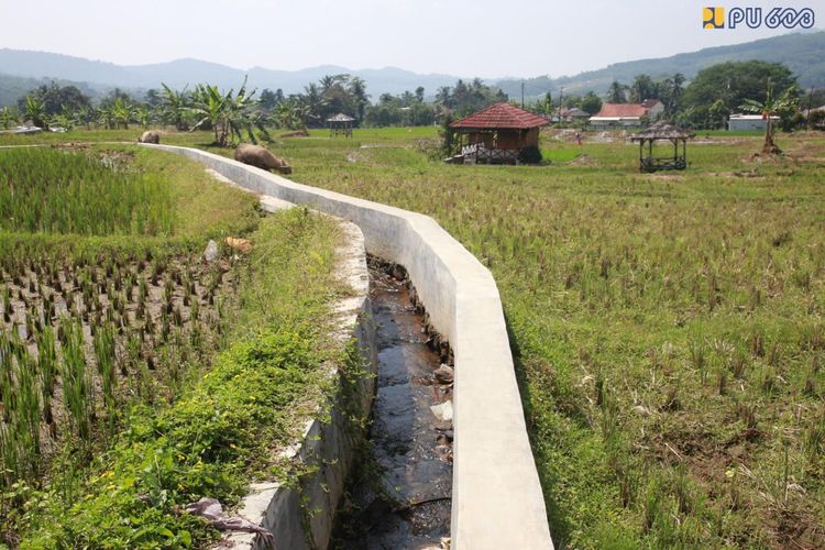 Berkat Irigasi Baru, 110 Hektar Sawah di Bogor Panen Tiga Kali Setahun