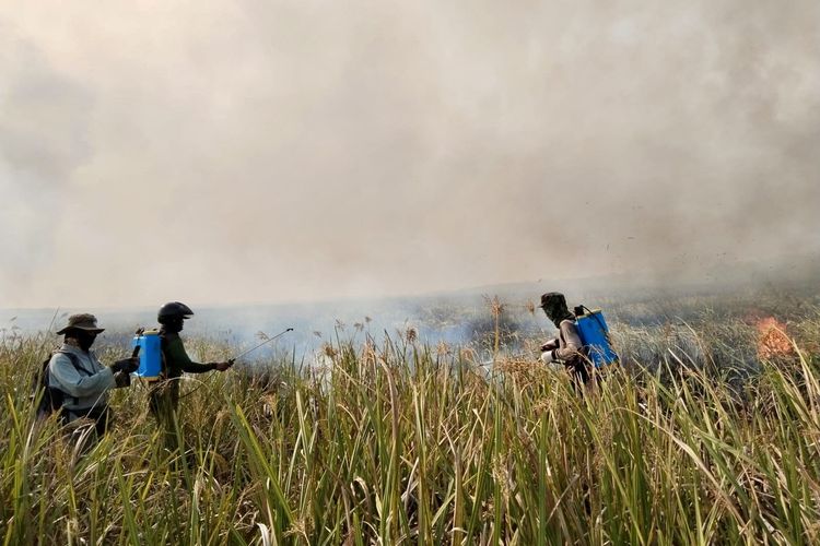 Satgas Karhutla Lampung Timur saat pemadaman kebakaran di kawasan hutan TNWK, Kamis (5/10/2023).